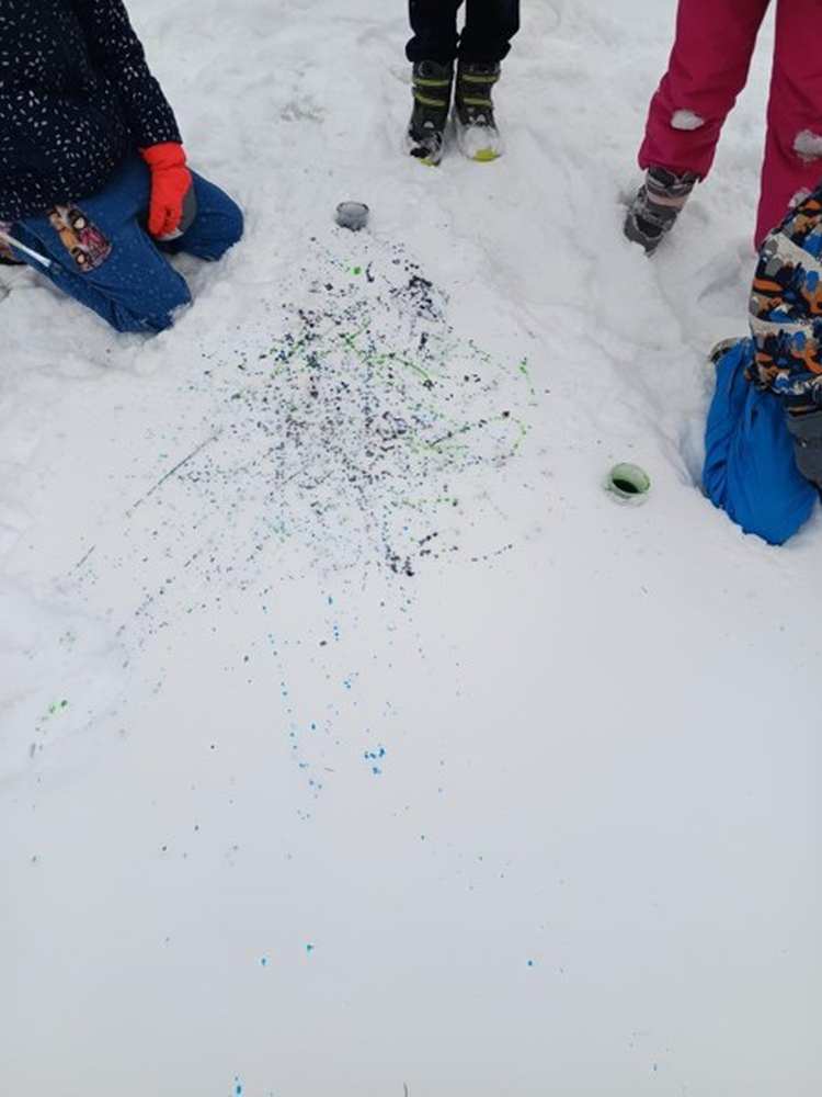 IMG_20260112_133059(1)