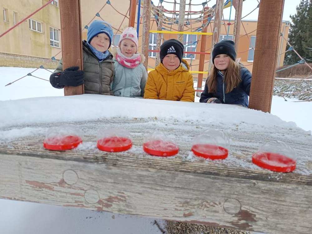 IMG_20260112_134537(1)