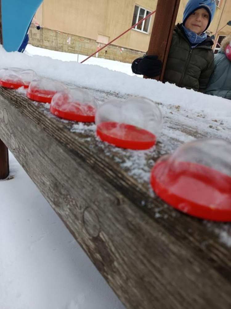 IMG_20260112_134553(1)