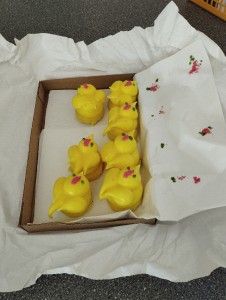 img_20250416_104704.jpg