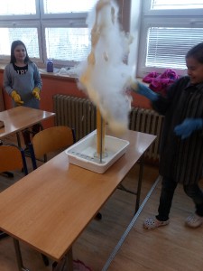 img_20171129_132216.jpg