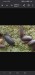 Screenshot_20250424_152940_com.android.chrome