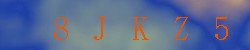 Kontrolní kód