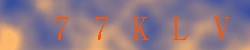 Kontrolní kód