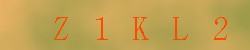 Kontrolní kód