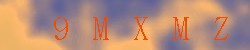 Kontrolní kód