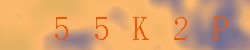 Kontrolní kód
