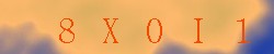 Kontrolní kód