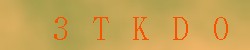 Kontrolní kód