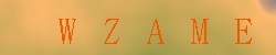 Kontrolní kód