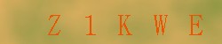 Kontrolní kód