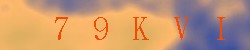 Kontrolní kód