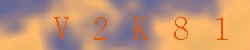 Kontrolní kód