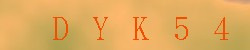 Kontrolní kód