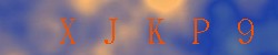 Kontrolní kód