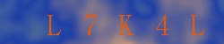 Kontrolní kód