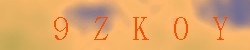 Kontrolní kód