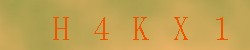 Kontrolní kód