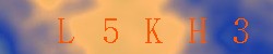 Kontrolní kód