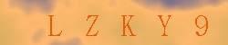 Kontrolní kód