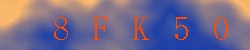 Kontrolní kód