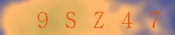 Kontrolní kód