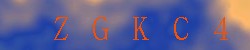 Kontrolní kód