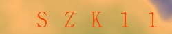 Kontrolní kód