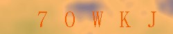 Kontrolní kód