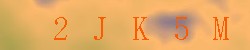 Kontrolní kód